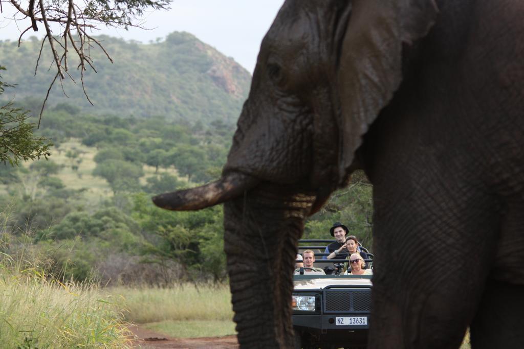 Leopard Mountain Safari Lodge Manyoni Private Game Reserve Eksteriør billede